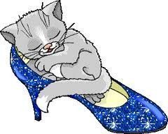 CHAT VOYAGEUR